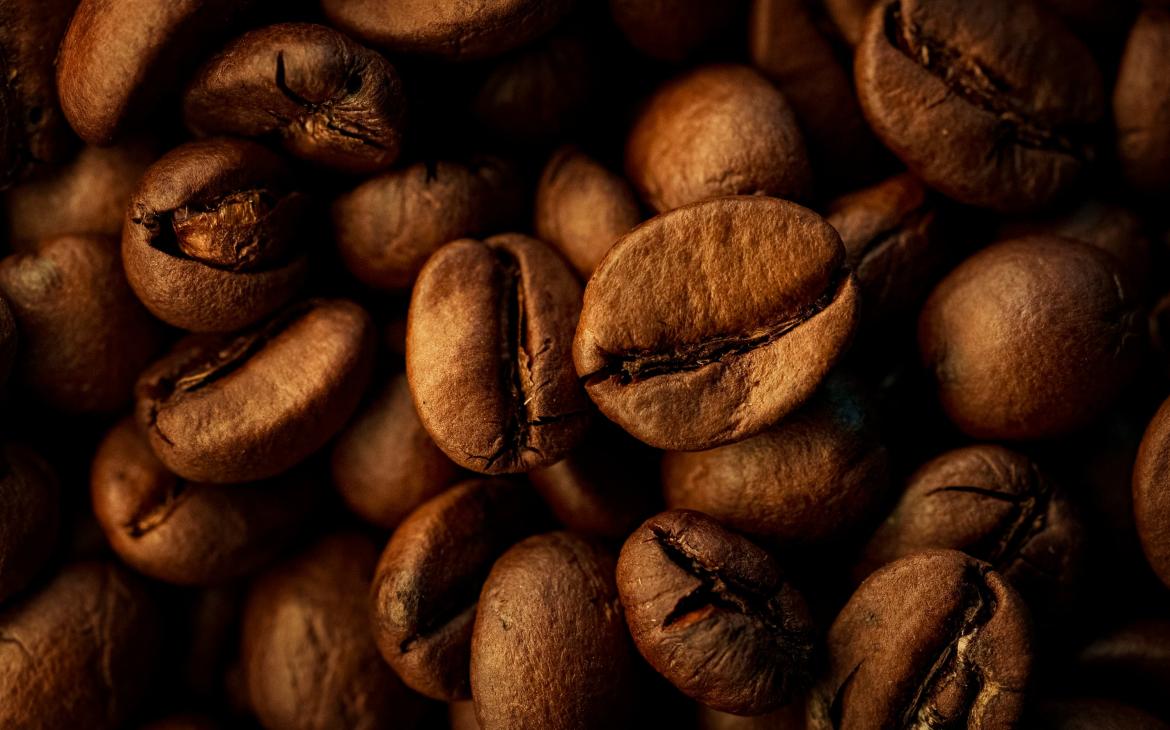 Grains de café torréfiés