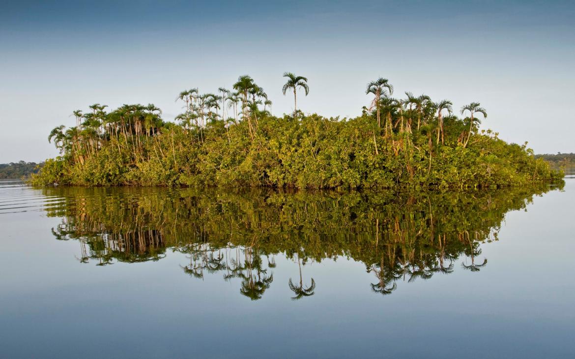 Rivière amazonienne, Cuyabeno, Équateur