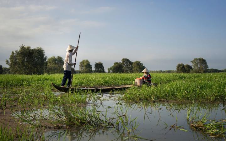 Pêcheur utilise un bâton en bambou pour naviguer avec son bateau dans l'aire du Parc national où il avait l'habitute de pêcher, Tram Chim (Vietnam)