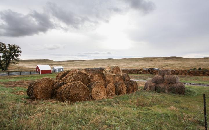 Bottes de foin près d'un ranch près de Lowry, Dakota du Sud