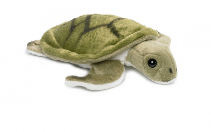 Peluche Tortue Marine - Boutique WWF