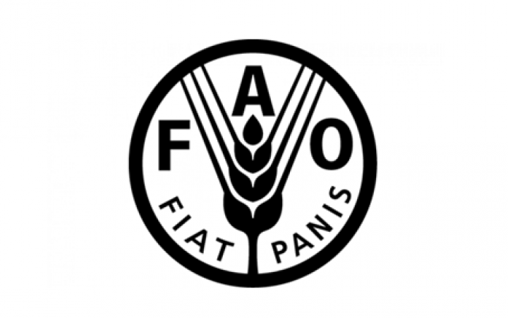 Logo FAO