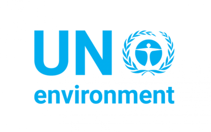 Logo UN Environment