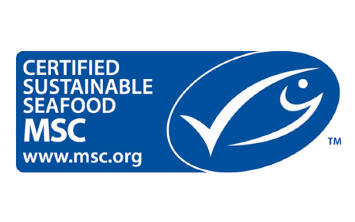 Logo MSC