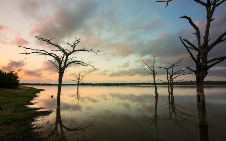 Coucher de soleil sur la réserve de Selous en Tanzanie