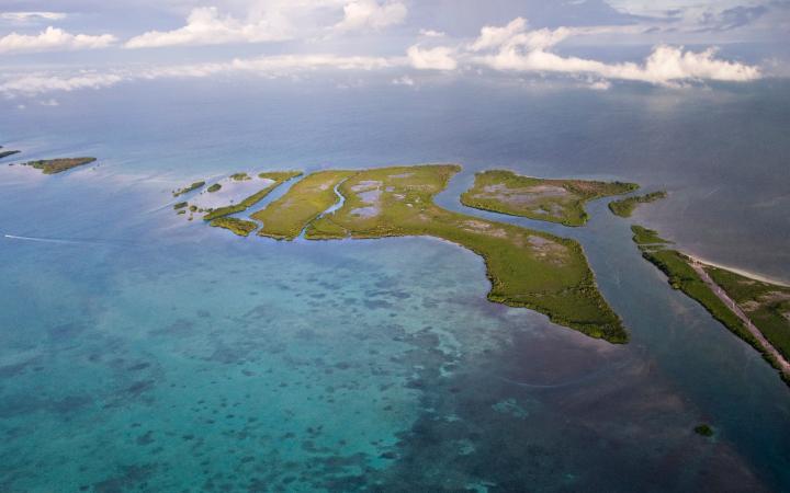 Vue aérienne des mangroves au Belize