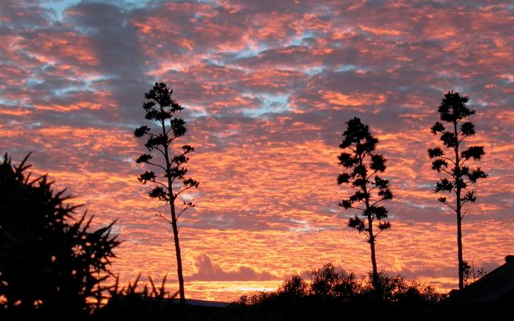 Coucher de soleil sur la forêt épineuse de Madagascar 