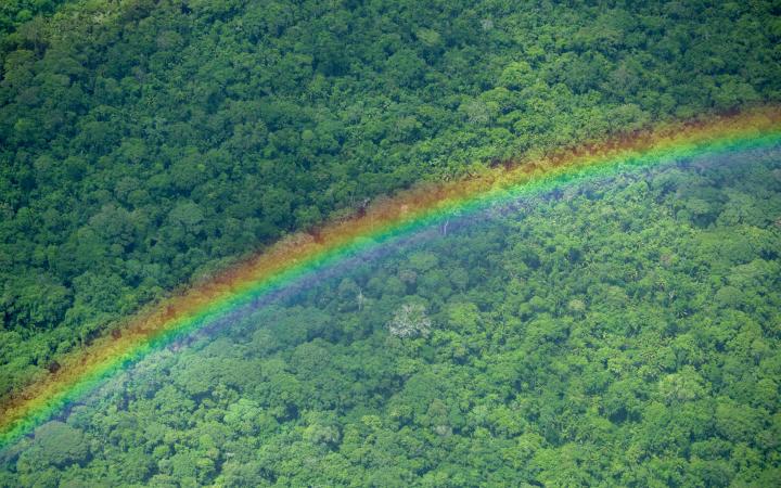 Vue aérienne d'une forêt et d'un arc-en-ciel dans le département de Beni, Bolivie