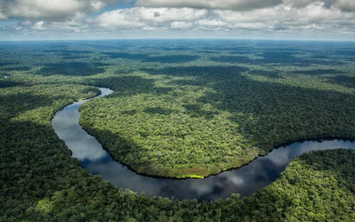 Vue aérienne de la rivière Luilaka au cœur du Parc National de Salonga, République Démocratique du Congo
