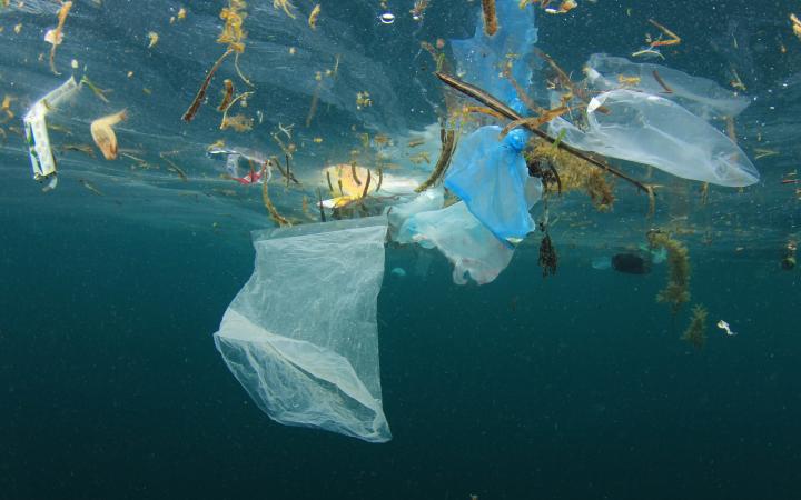 Plusieurs éléments d’origine plastique flottent dans l'océan