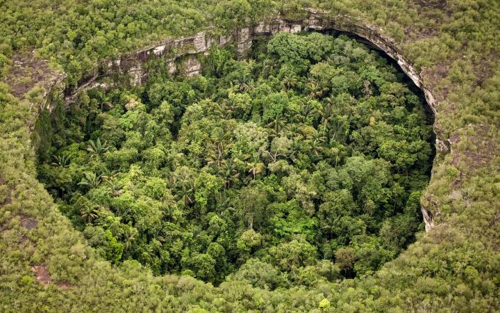 "Le Stade" une formation géologique rare du Parc national naturel de la Serranía de Chiribiquete, Colombie