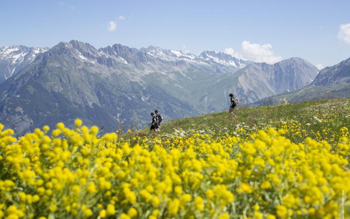 Equipe de pandathlètes qui descendent un chemin de montagne à l'Alpe d'Huez (France)