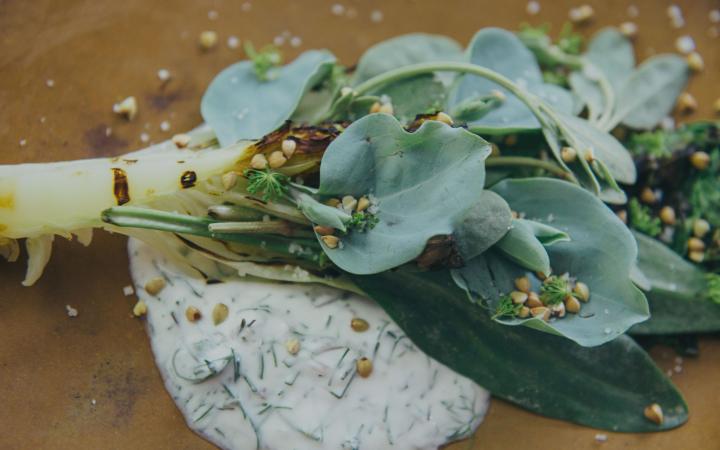 Recette de laitue poêlée et son yaourt au chèvre aromatisé aux herbes