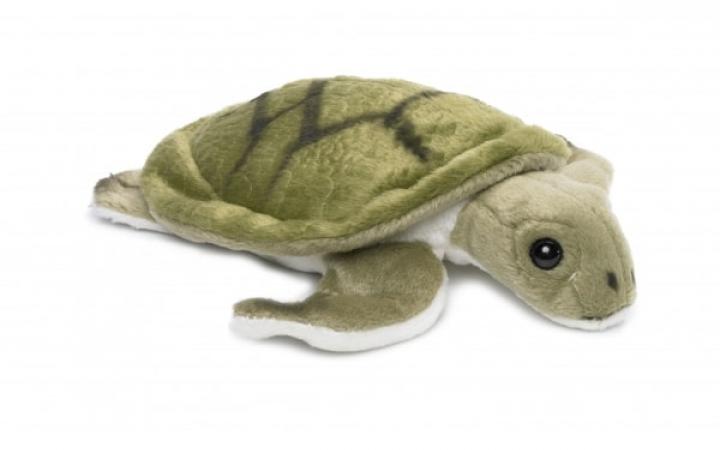 Peluche de tortue marine de 18 cm de la boutique