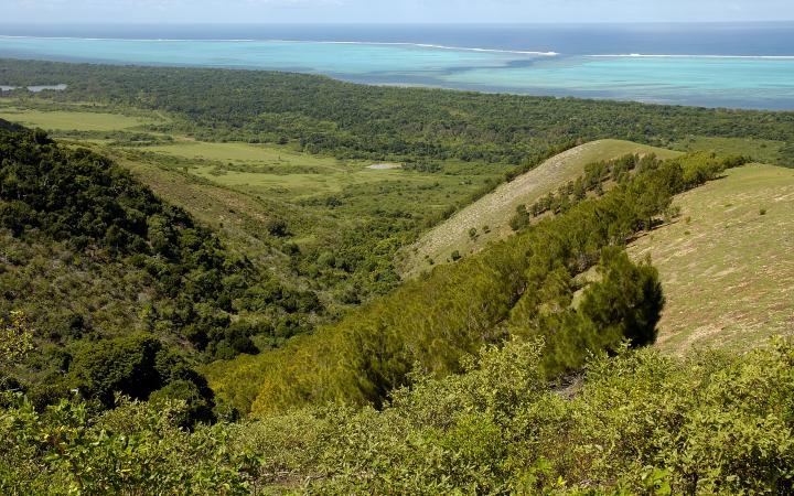 Une vue aérienne de la forêt sèche de Nouvelle-Calédonie.