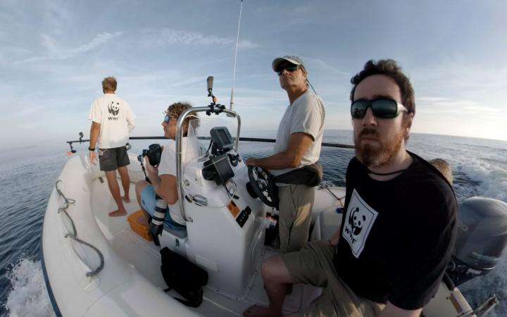 Les experts du WWF en pleine mission de balisage de cétacés dans le Sanctuaire Pelagos en Méditerranée