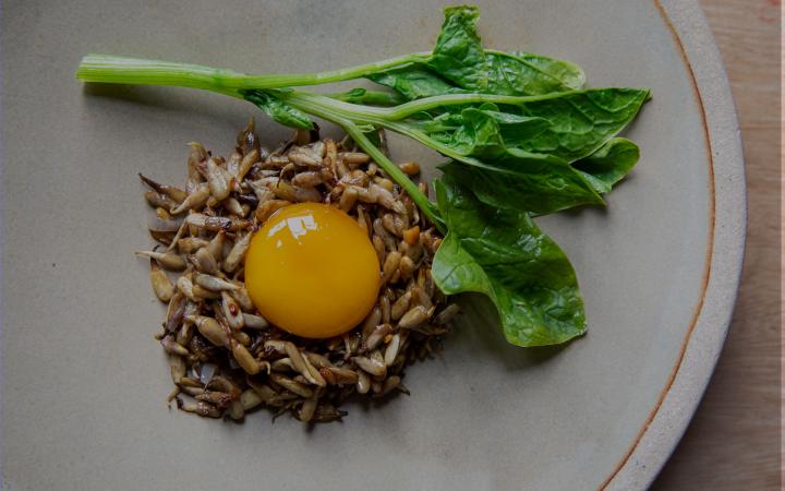 La recette des oeufs marinés aux bières et graines de tournesol du chef étoilé Florent Ladeyn