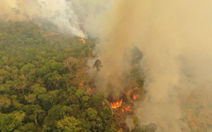 Feux En Amazonie Il Est Urgent D Agir Wwf France Feux En Amazonie Il Est Urgent D Agir Wwf France