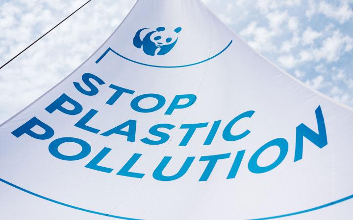 La voile du Blue Panda à l'effigie du Stop Plastic Pollution Tour