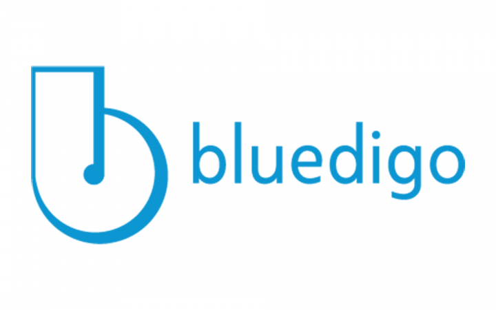 Logo Bluedigo
