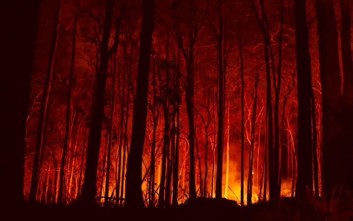 Feux de forêt à Bowraville en novembre 2019, Nouvelle-Galles du Sud, Australie.