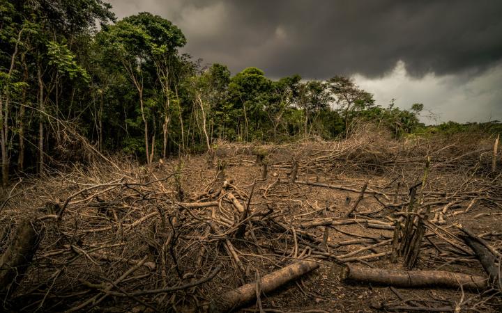 La forêt amazonienne déforestée en Colombie.
