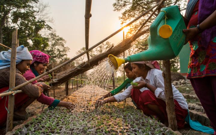 Un groupe de femmes arrosent un semis proche du parc national de Chitwan, Népal.