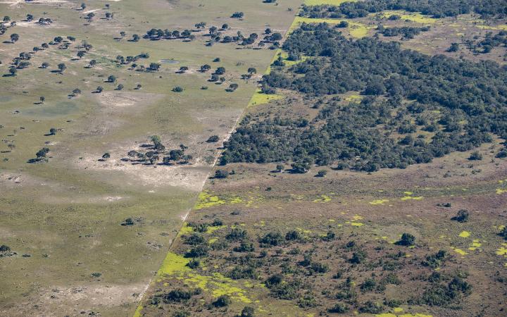 Déforestation entre le Cerrado et le Pantanal, Brésil