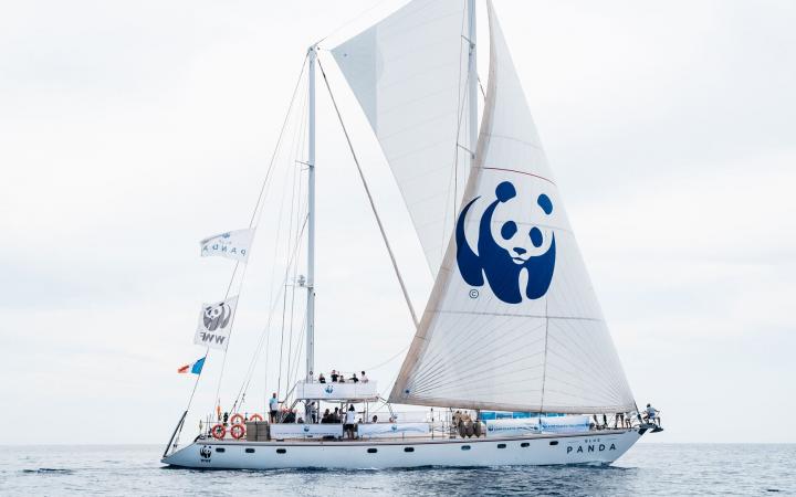 Le bateau Blue Panda sur la méditerranée