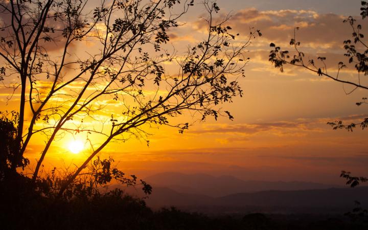 Coucher de soleil derrière un arbre dans la réserve de Selous