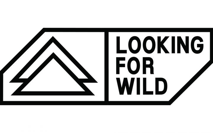 Logo de l'entreprise Looking for Wild 