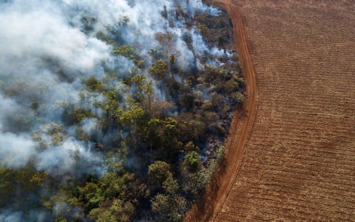 La forêt amazonienne en feux au Brésil.