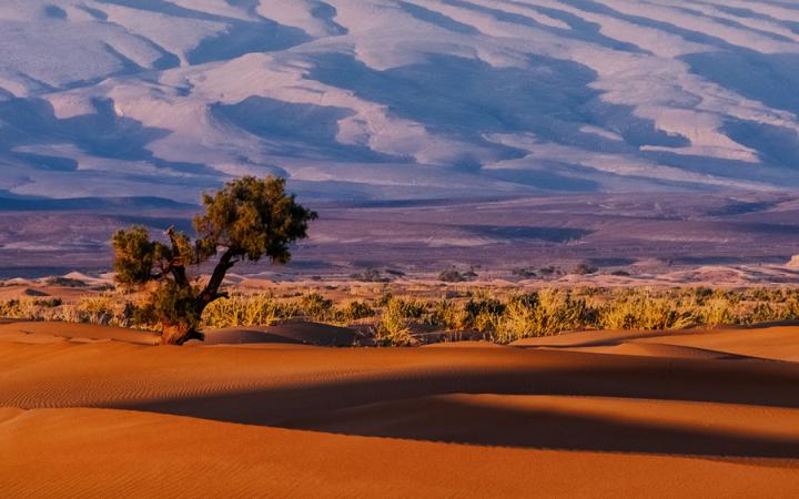 Image du désert du Sahara au Maroc
