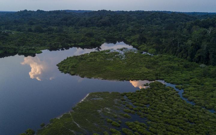 Une rivière dans le parc du Salonga en RDC