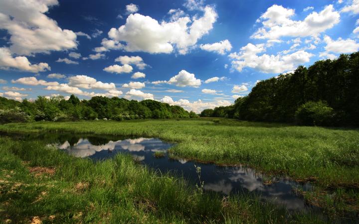 La réserve de biosphère Mur-Drave-Danube de jour