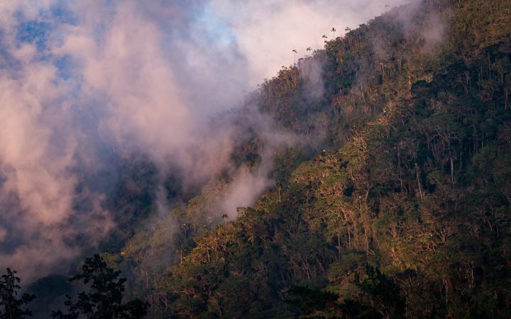 Des montagnes de la Sierra Nevada de Santa Marta en Colombie