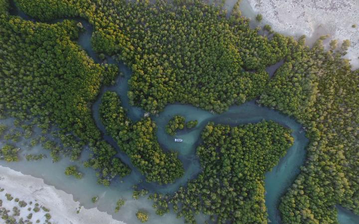 Vue aérienne d'une mangrove à Madagascar