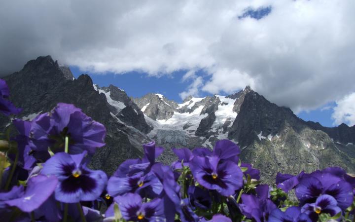 Alpes et capucines, Italie