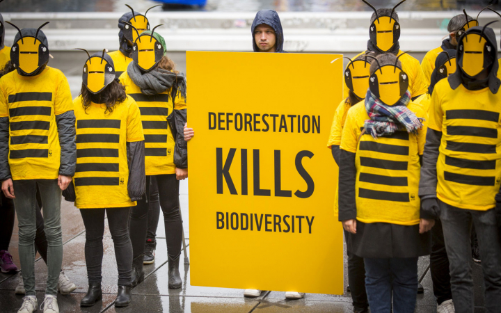 Des bénévoles du WWF France participe au Die In organisé pour la sortie des résultats du rapport IPBES 3019, Paris, France.