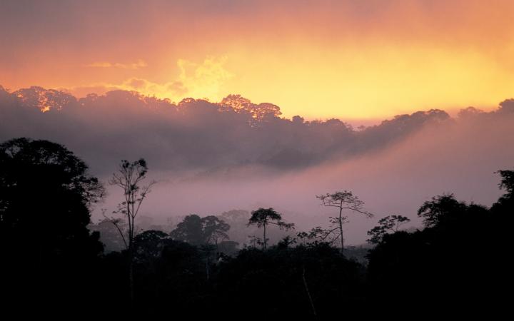 Coucher de soleil sur la forêt amazonienne, Guyane