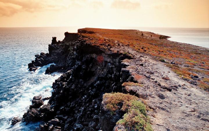 Ile Plaza, galapagos (Equateur)