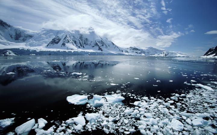 Paradise Bay (Antarctique)