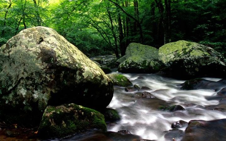 Parc national des Great Smoky Mountains, Tennessee