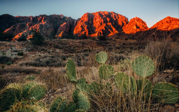 Paysage du Parc national du Big Bend, Texas (Etats-Unis)