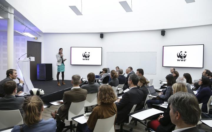 Séminaire avec les entreprises partenaires du WWF France