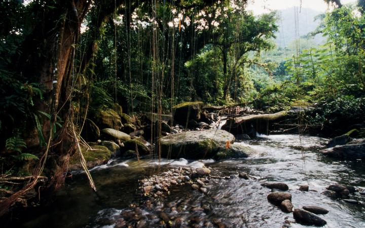 Serra da Bocaina, Sao Paulo (Brésil)