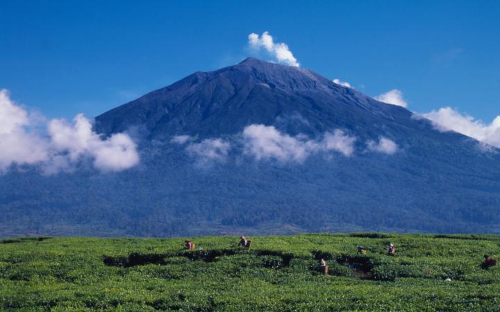 Volcan Kerinci, Jambi, Sumatra (Indonésie)