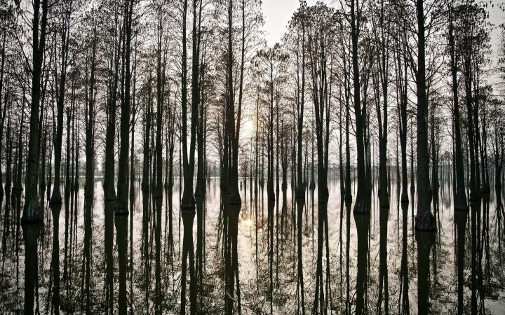 Lac Dalian près de Shangai