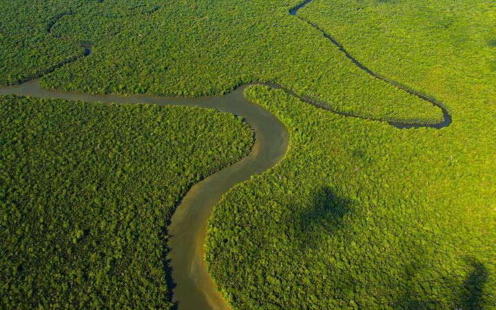 Vue aérienne de la rivière Kinabatangan et de la forêt tropicale, Sabah, Bornéo, Malaisie