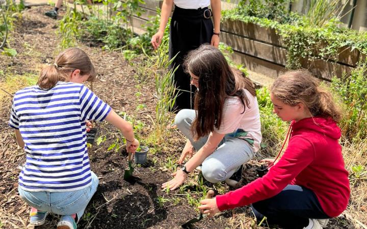 Ecole jardiniere - des enfants font un potager